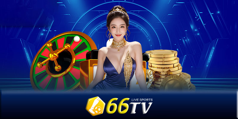 Hỗ trợ khách hàng của 66TV