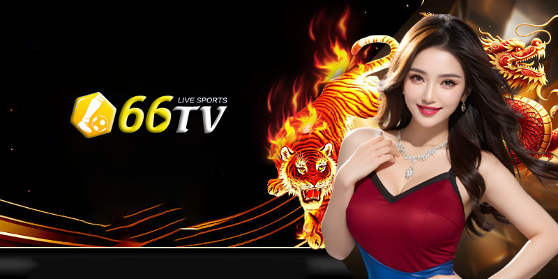 Đánh giá và phản hồi từ người chơi sòng bài 66TV